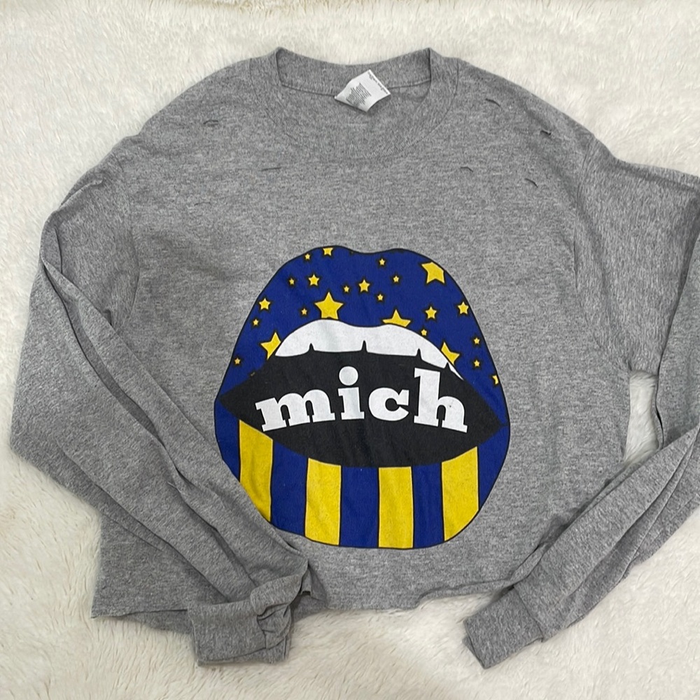 University of Michigan Cropped Distressed Top.💙💛Size (S)